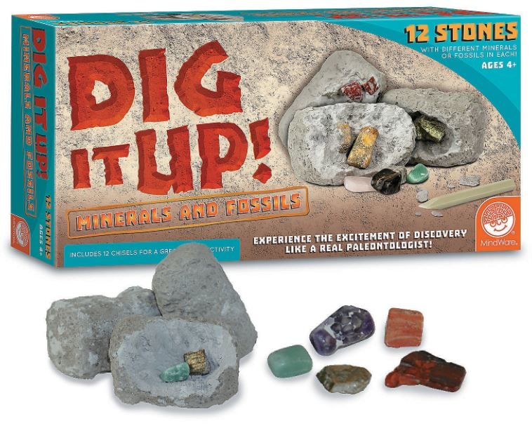 Dig it Up! Minerals and Fossils