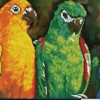 Diamond Dotz-Rainbow Parrots