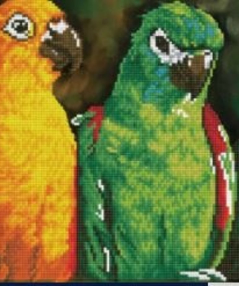Diamond Dotz-Rainbow Parrots