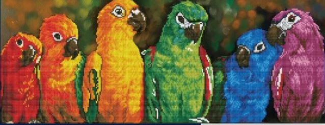 Diamond Dotz-Rainbow Parrots