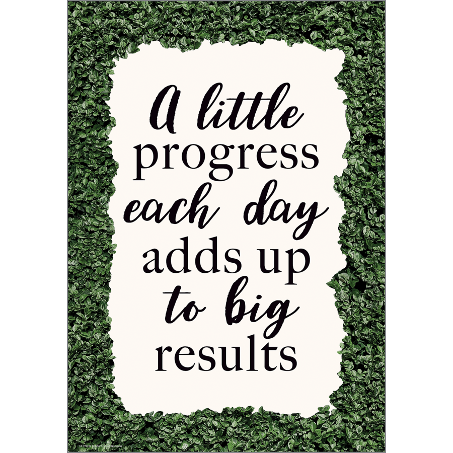 A Little Progress Each Day Positive Poster
