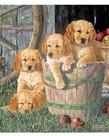 Cobble Hill Puppy Pail Family Puzzle 350pc