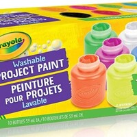 Washable Project Paint 10ct Neon