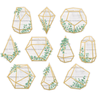Eucalyptus Geometric Terrariums