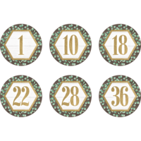 Spot On Eucalyptus Number Floor Markers 4"