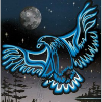 Eagle in the Sky Poster