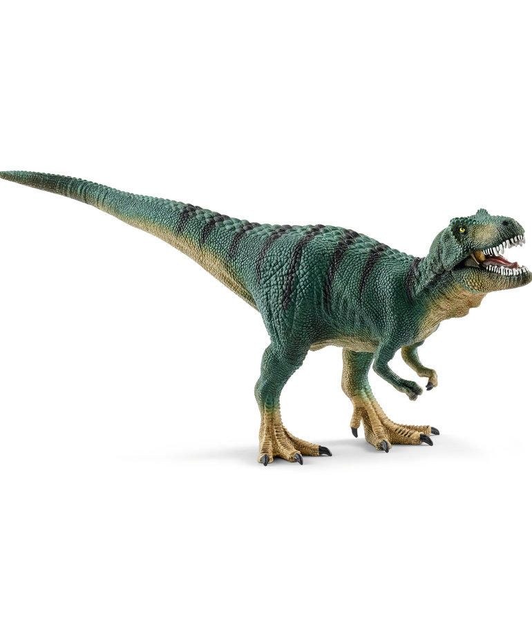 Schleich Tyrannosaurus Rex Juvenile