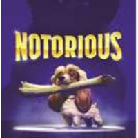 Notorious