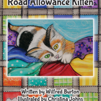 Road Allowance Kitten