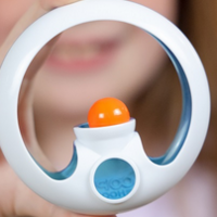 The Loopy Looper-Hoop