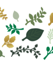 Green and Gold Leaves Accent