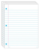 Write On/Wipe Off Notebook Paper 18PK