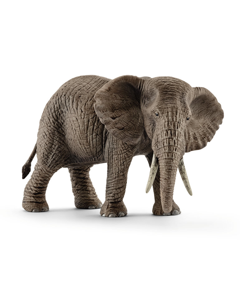 Schleich African Elephant Female