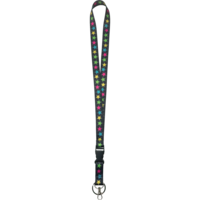 Chalkboard Brights Lanyard