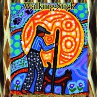 The Diamond  Willow Walking Stick