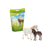 Pony Mare and foal