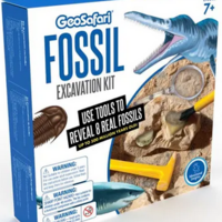 Fossil Excavation Kit