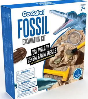 Fossil Excavation Kit