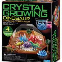 Dinosaur Crystal Terrarium