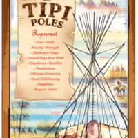 Tipi Poles