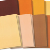 Skin Tone Craft Paper