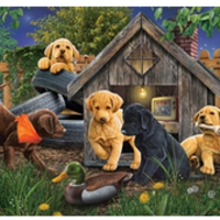 Cobble Hill In The Doghouse 1000pc