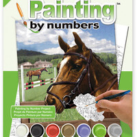 Paint By Numbers-Equine Paddock