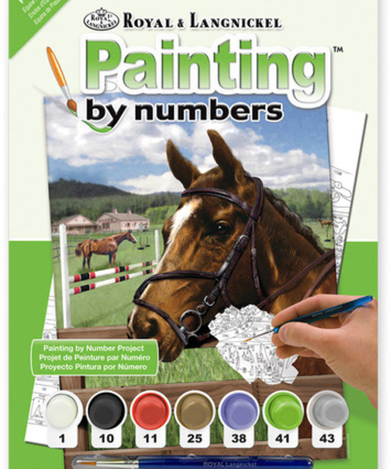 Paint By Numbers-Equine Paddock