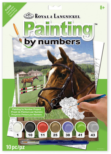 Paint By Numbers-Equine Paddock