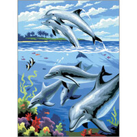 Painting By Numbers-Dolphins