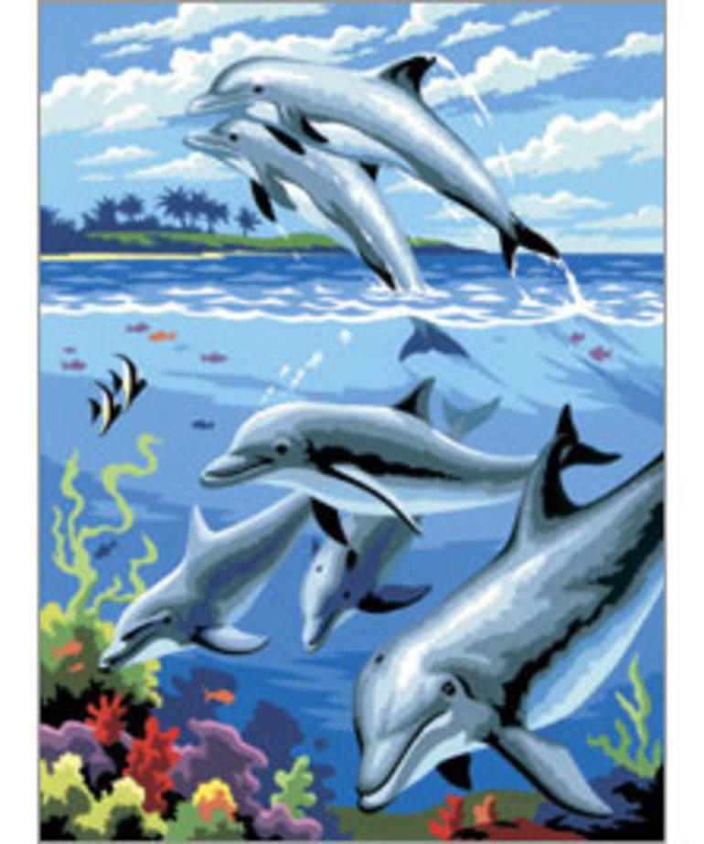 Painting By Numbers-Dolphins