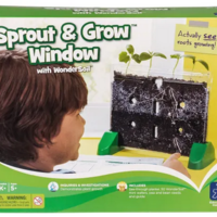 Sprout & Grow Window