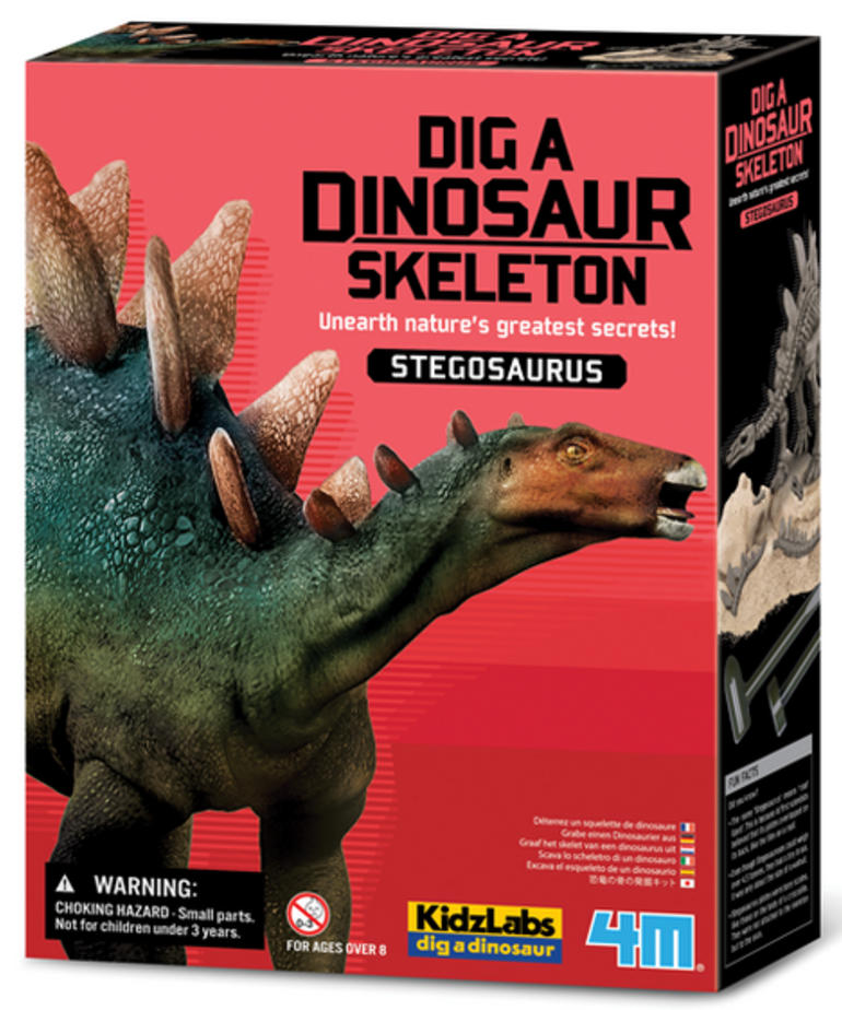DIg a Stegosaurus Skeleton