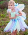 Butterfly Dress with Wings & Wand