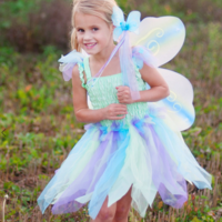 Butterfly Dress with Wings & Wand