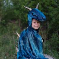 Starry Night Dragon