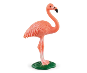 Flamingo - Inspiring Young Minds to Learn