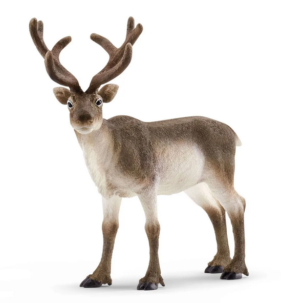 Schleich Reindeer