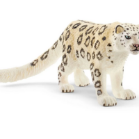 Snow Leopard
