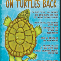 13 Moons onTurtles Back