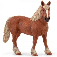 Belgian Broodmare