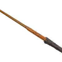 Wizard Wand