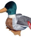 Jake the Duck TY Beanie Baby