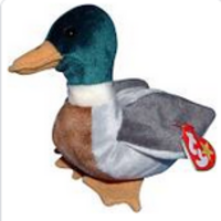 Jake the Duck TY Beanie Baby