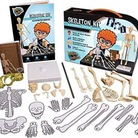 Heebie Jeebies Skeleton Kit & Genetics Kit