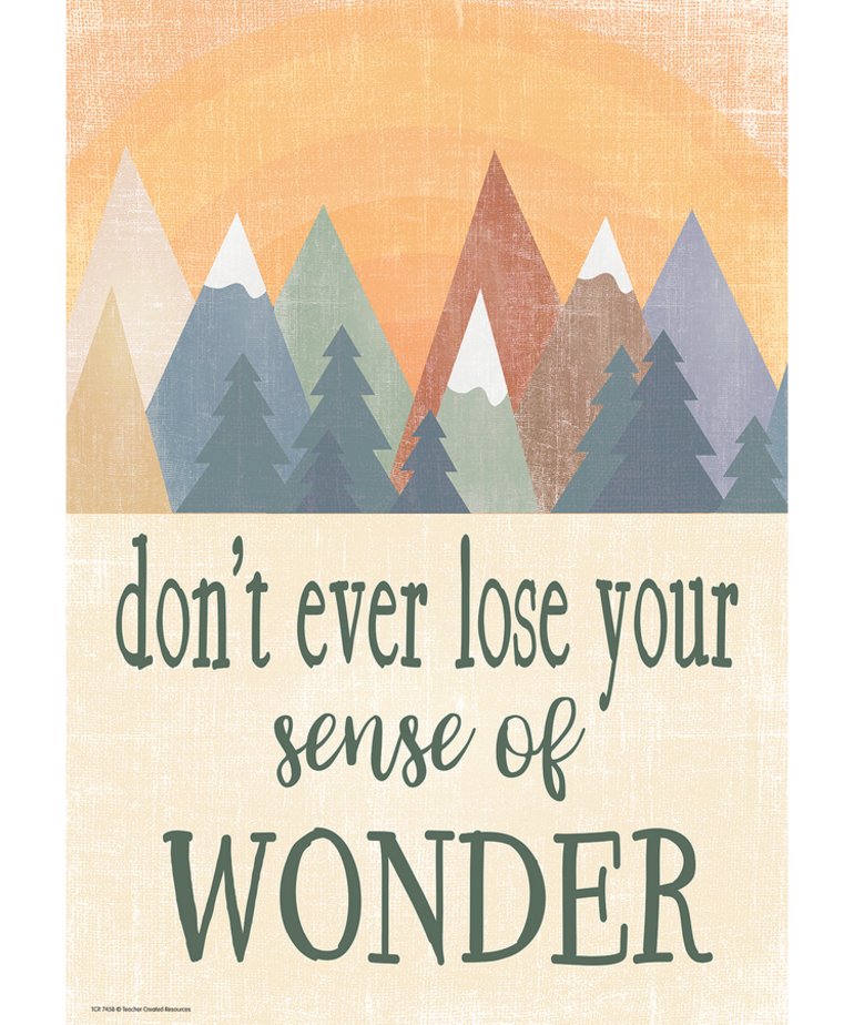Don't Ever Lose Your Sense of Wonder Positive Poster