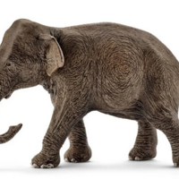 Female Elephant