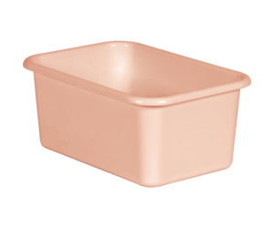 Blush Small Plastic Storage Bin - Inspiring Young Minds to Learn