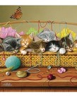 Basket Cases 350pc Family Puzzle