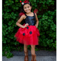 Ladybug Dress with Headband (5-6)